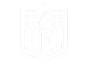 logo nfl